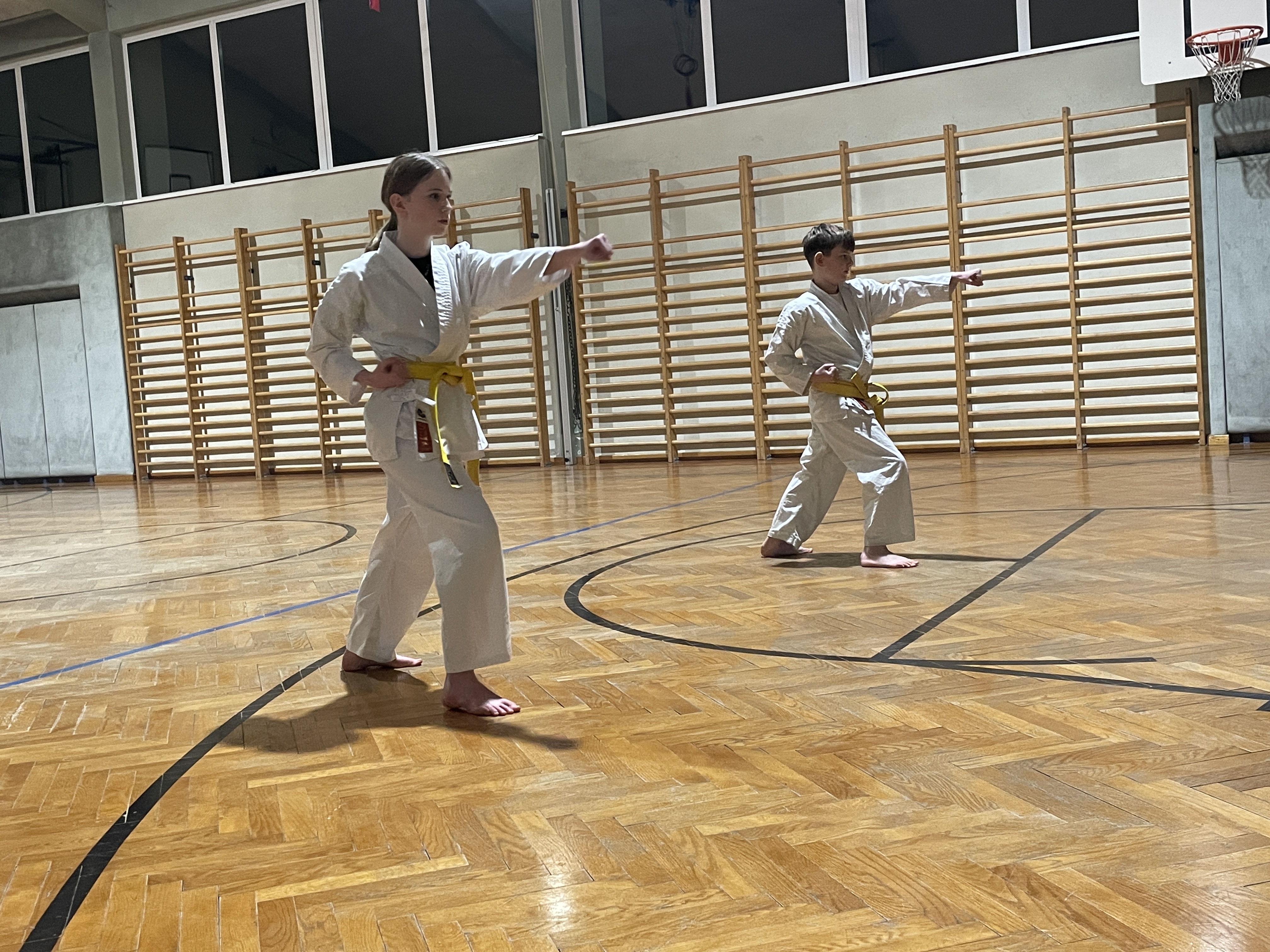 Gelbgurte mit Fauststoß